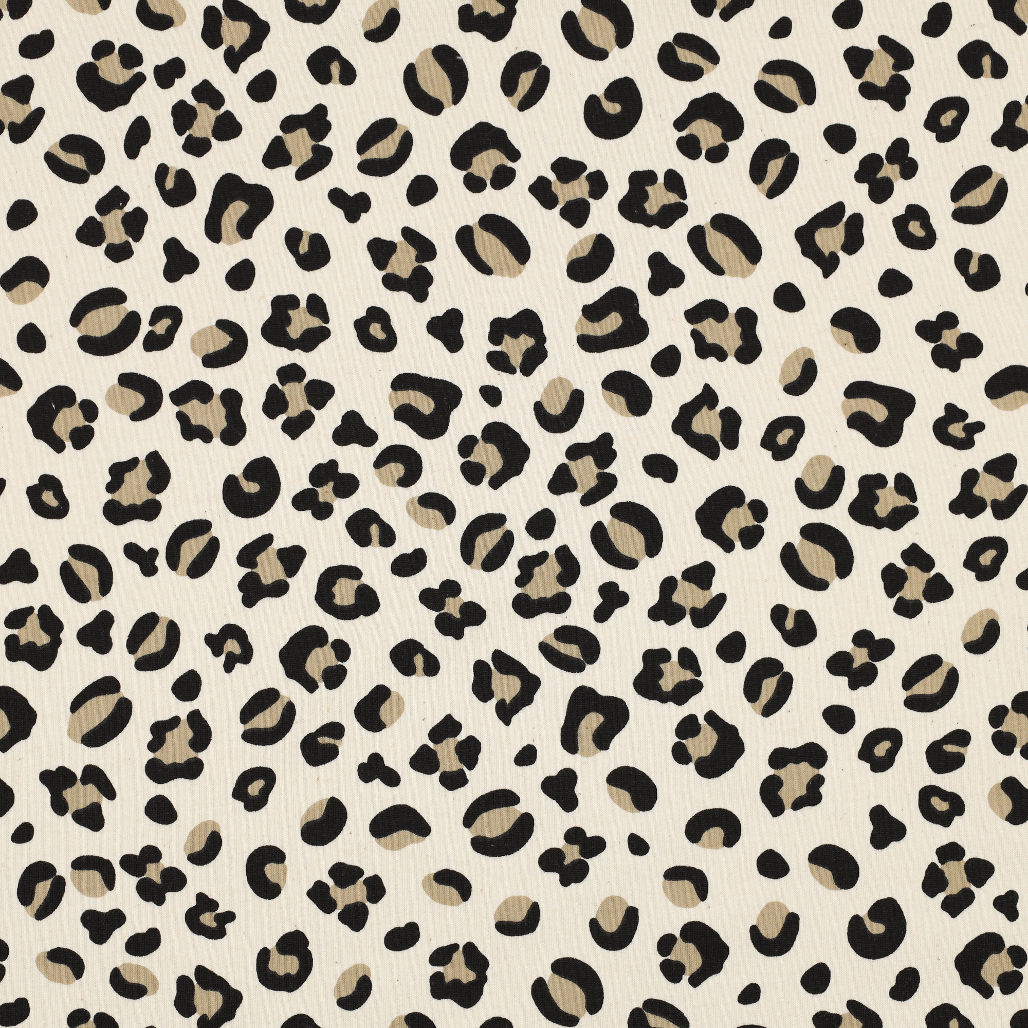 Joustocollege: Leopardi