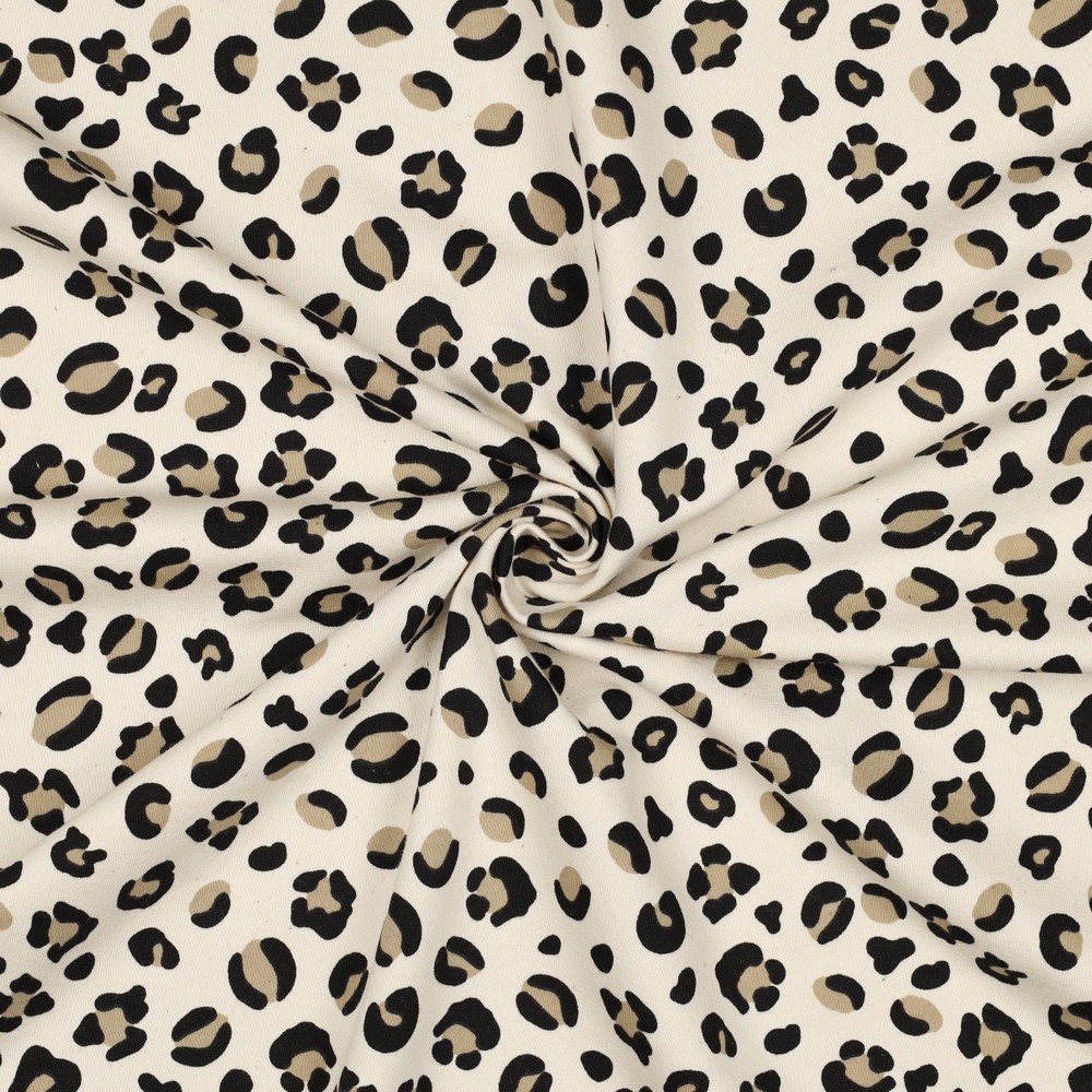 Joustocollege: Leopardi