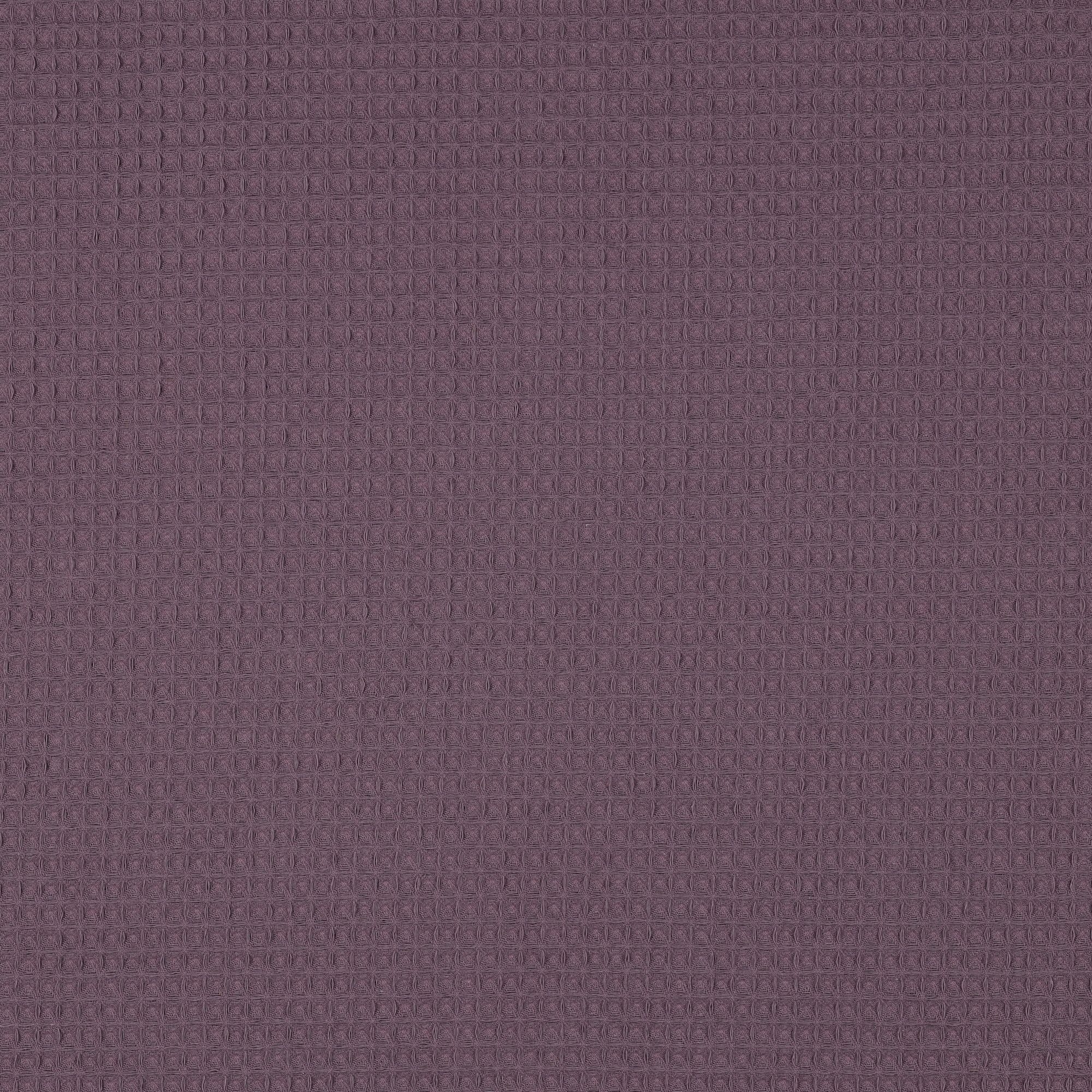 Vohvelikangas: mulberry